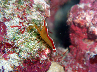 d0065247_16568.jpg