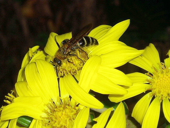 e0064158_0121672.jpg