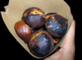 d0000760_9224231.jpg