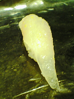 e0004062_17543827.jpg