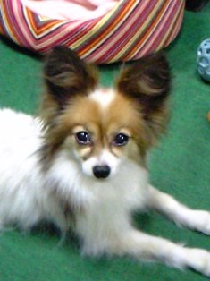 e0043162_015594.jpg