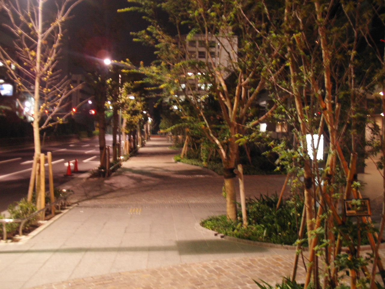 a0049167_23142281.jpg