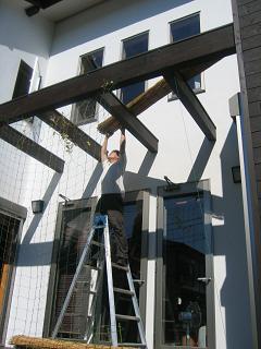 e0031568_1148487.jpg