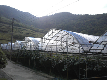 e0001170_17443934.jpg