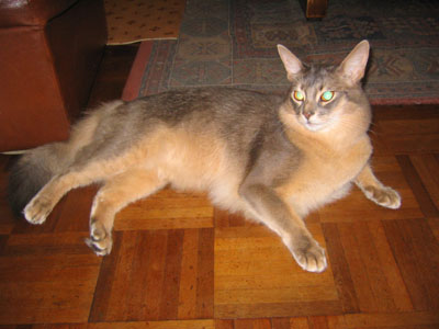e0087470_0332365.jpg
