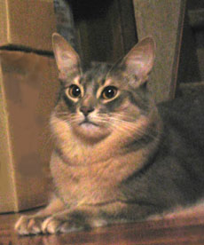 e0087470_0333474.jpg