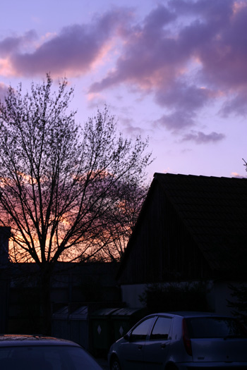 d0045372_211765.jpg
