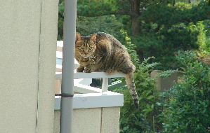 c0034396_0103892.jpg