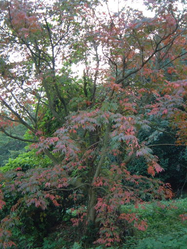 e0017396_2313186.jpg