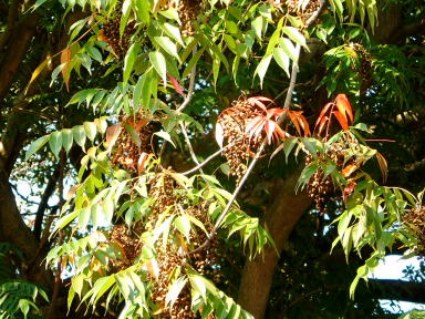 e0017396_2324893.jpg