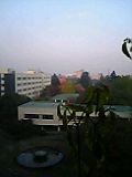 a0056498_1648530.jpg