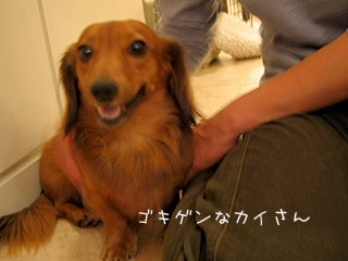 a0055906_13154820.jpg