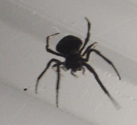 e0070606_035565.jpg