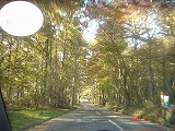 e0049409_22522228.jpg