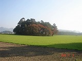 e0049409_22564624.jpg