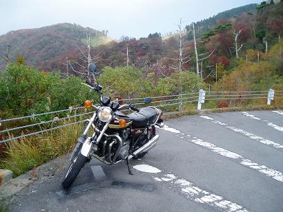 e0010219_0403835.jpg