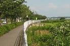 a0053420_21322339.jpg