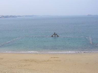 a0042724_0414276.jpg