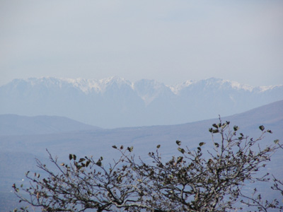 a0049226_2253047.jpg