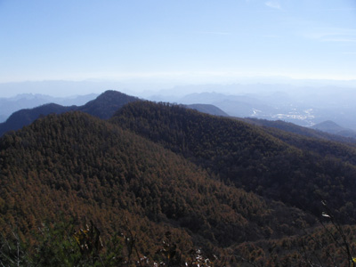 a0049226_22532593.jpg