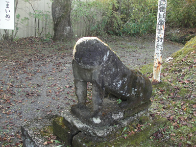 a0049226_22545553.jpg