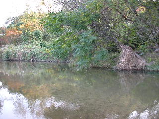 e0033926_19231554.jpg