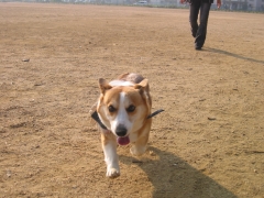 e0077528_13461212.jpg