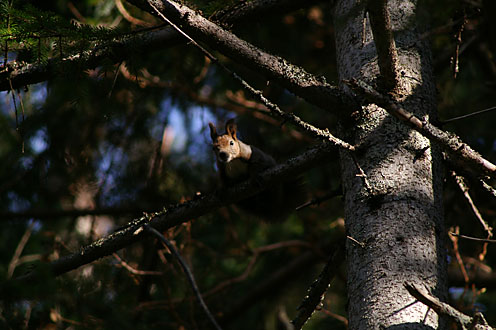 e0025030_14431729.jpg