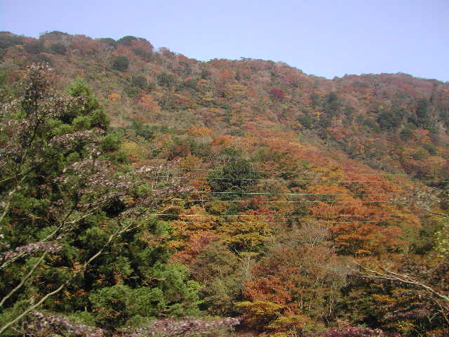 e0065830_22345743.jpg