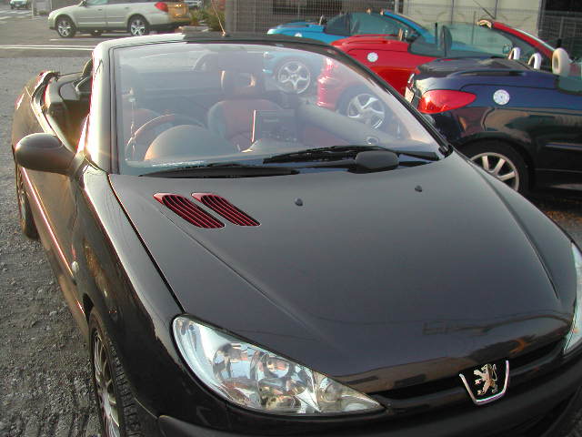 e0065830_2243242.jpg