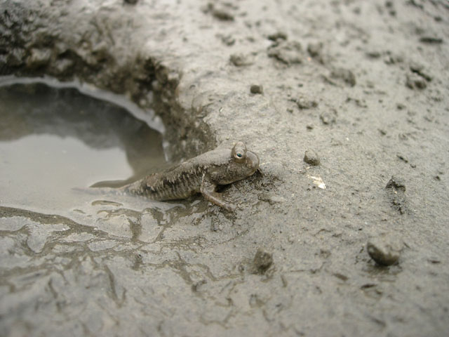 d0041331_1372564.jpg