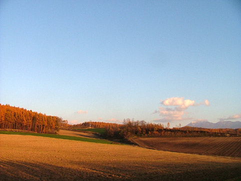 d0069235_20462465.jpg