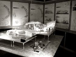 d0061338_264616.jpg