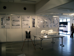 d0061338_272899.jpg