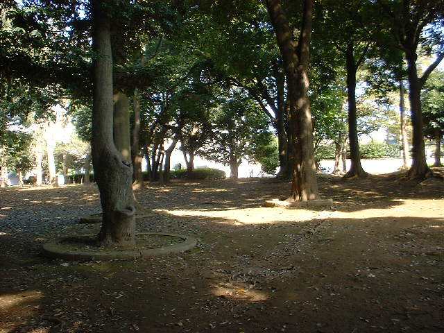 c0071545_1942560.jpg