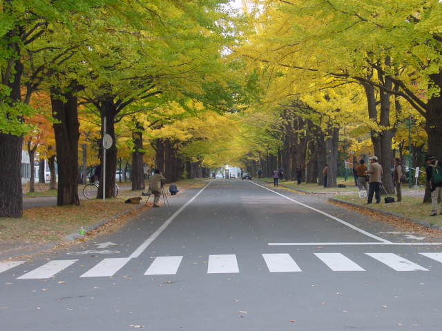 a0025847_12364863.jpg