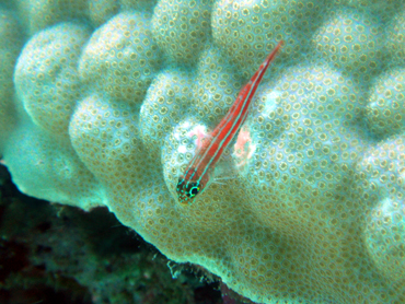 d0065247_2184044.jpg