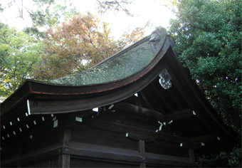 c0069552_14135887.jpg