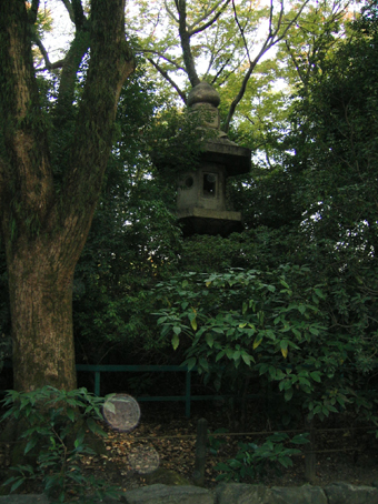 c0069552_14151856.jpg