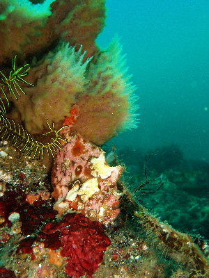 d0021952_7501483.jpg