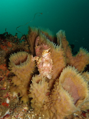 d0021952_7511251.jpg