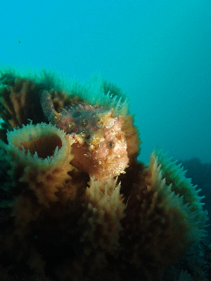 d0021952_7552827.jpg