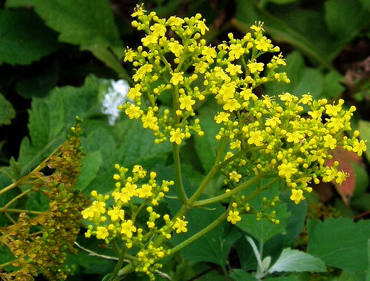 e0064158_0114712.jpg