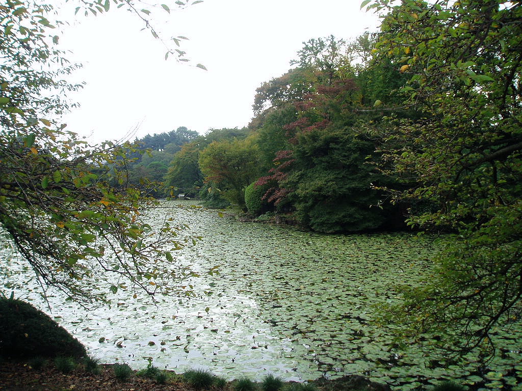 e0064158_23361393.jpg