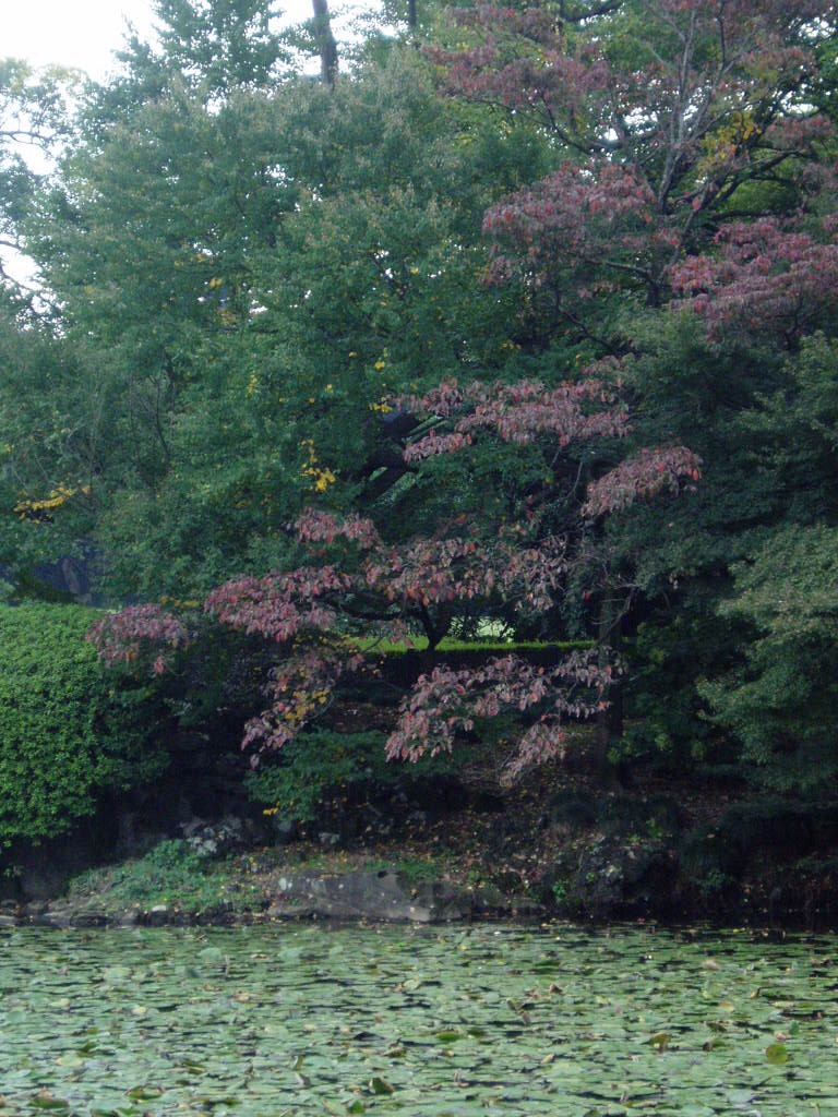 e0064158_23365151.jpg
