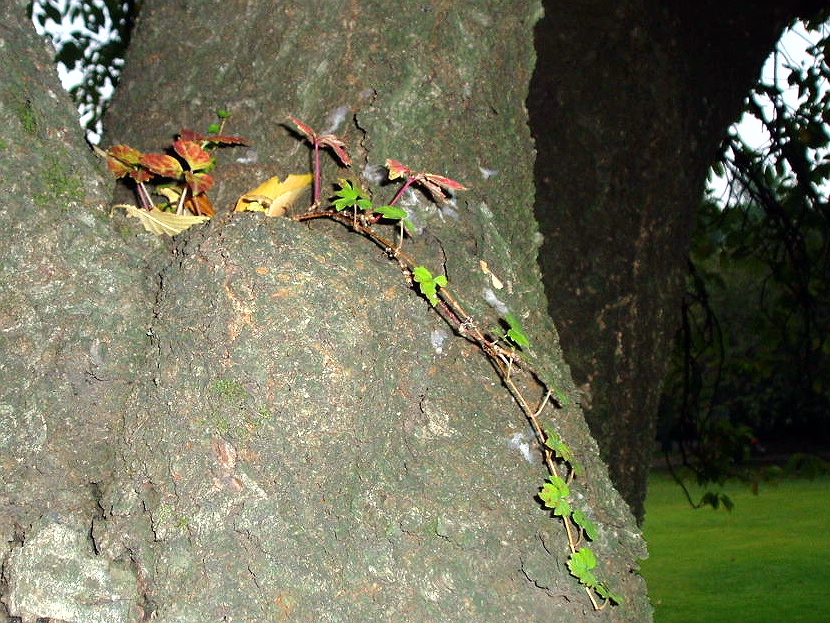 e0064158_23372031.jpg