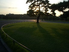 a0055362_14524971.jpg