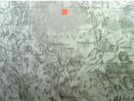 b0021465_23461024.jpg