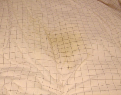 c0032567_21262685.jpg
