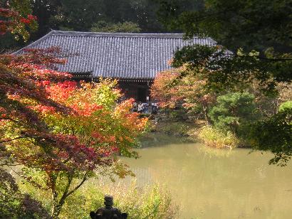 c0001269_23285570.jpg